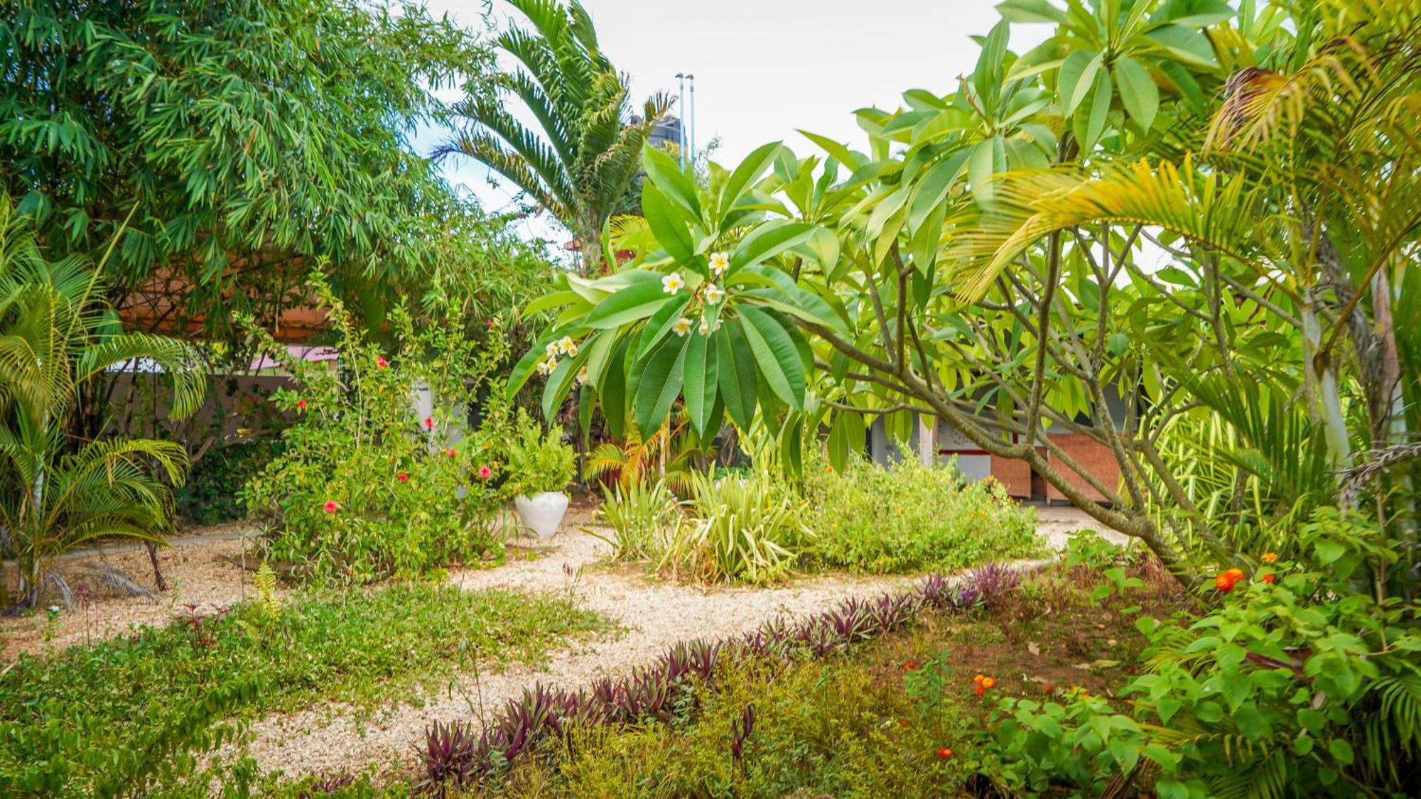 Bed and breakfast House Nungwi